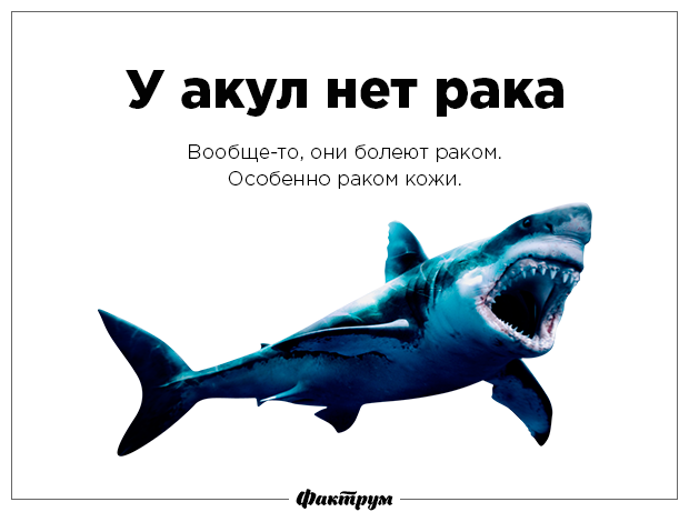 Разрушаем мифы-24