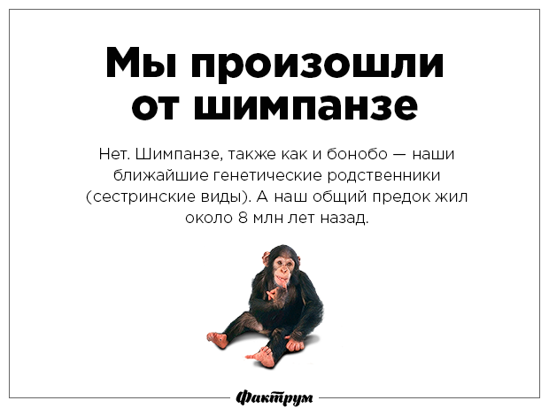 Разрушаем мифы-64