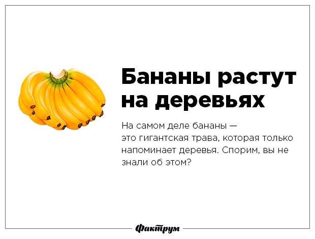 Разрушаем мифы-8