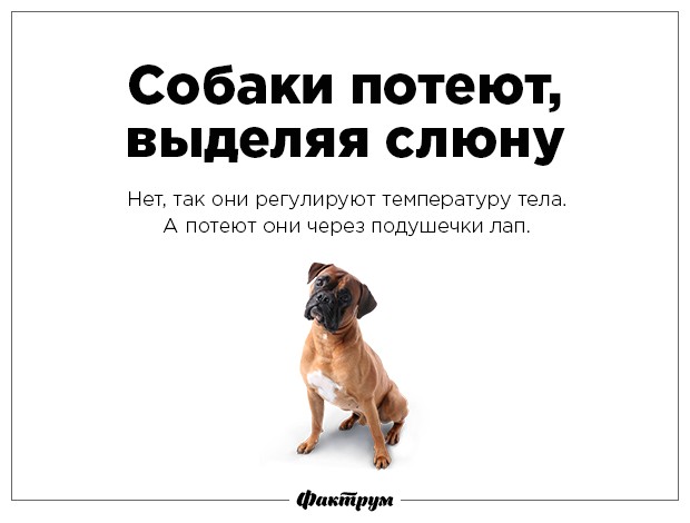 Разрушаем мифы-9