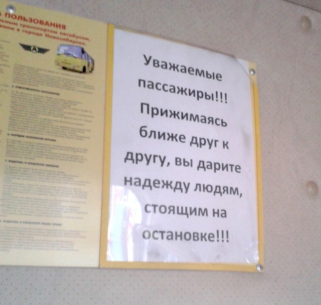 Что можно прочитать в маршрутке-15