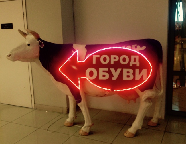 Маразмы месяца-18