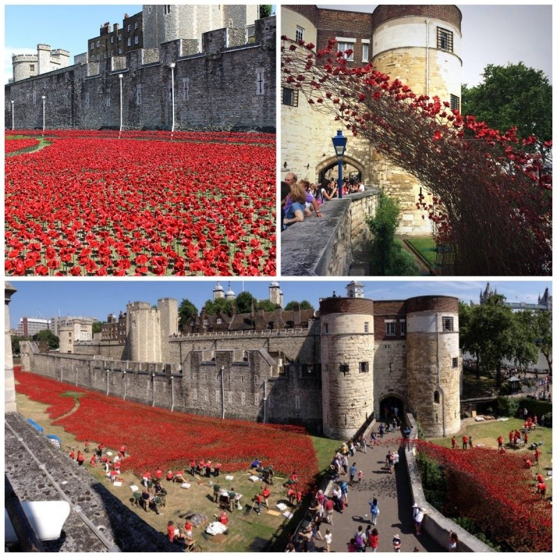 10 лучших арт-проектов 2014 года-2