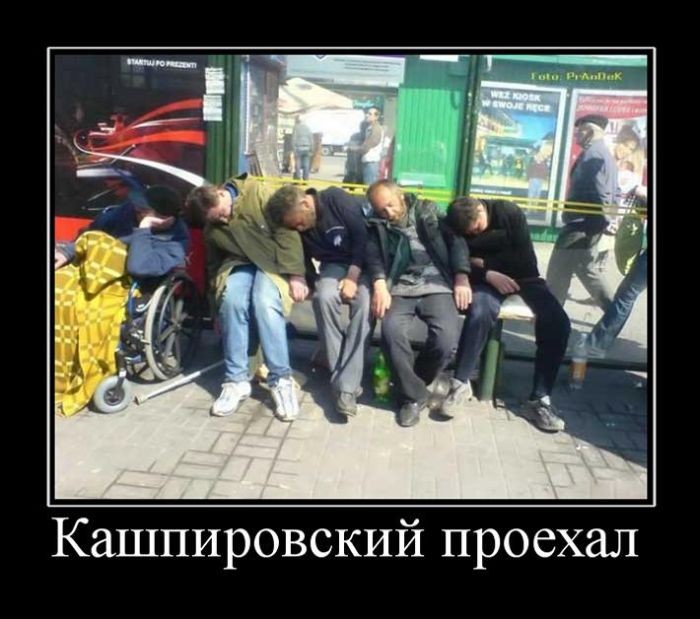 Свежие демотиваторы-15