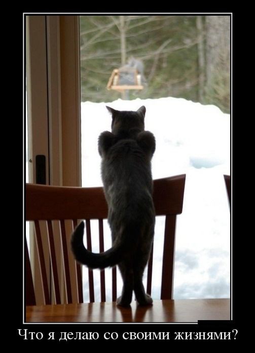 Свежие демотиваторы-17