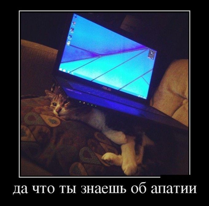 Свежие демотиваторы-9