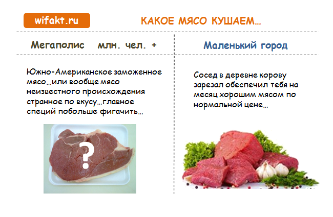 Почему сельская жизнь лучше городской-5