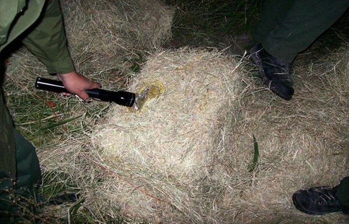 Изобретательность контрабандистов-11