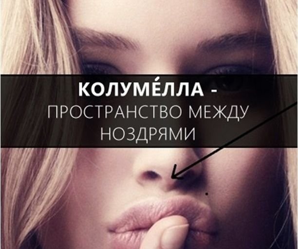 Расширяем словарный запас-1