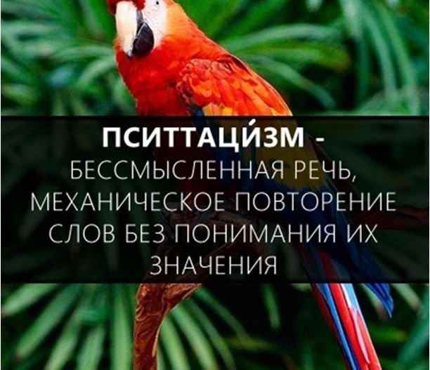 Расширяем словарный запас-28