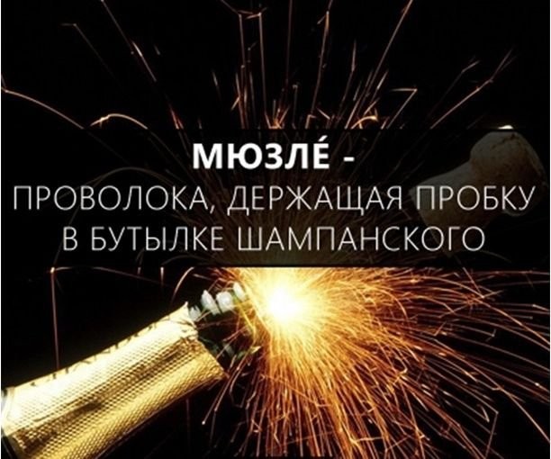 Расширяем словарный запас-44