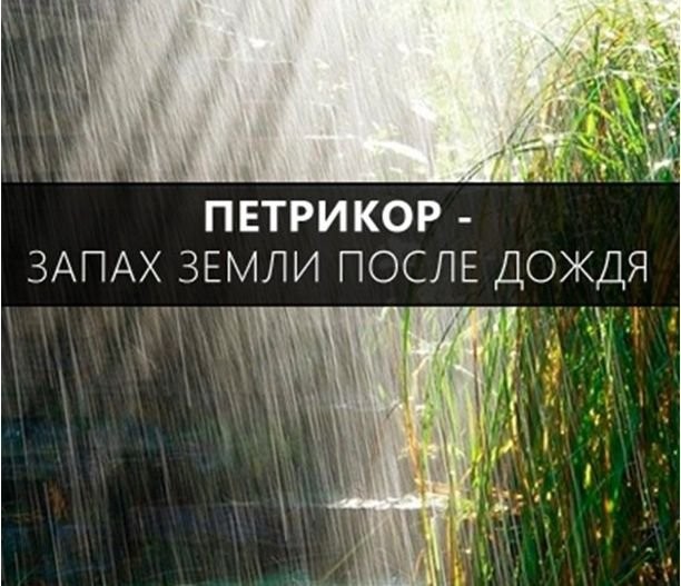 Расширяем словарный запас-47