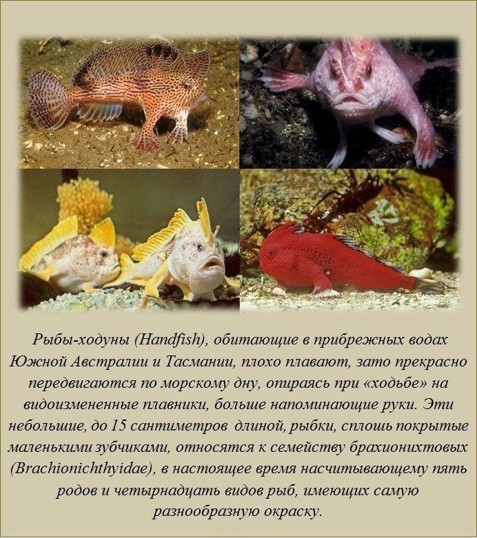 Знали ли вы?-12