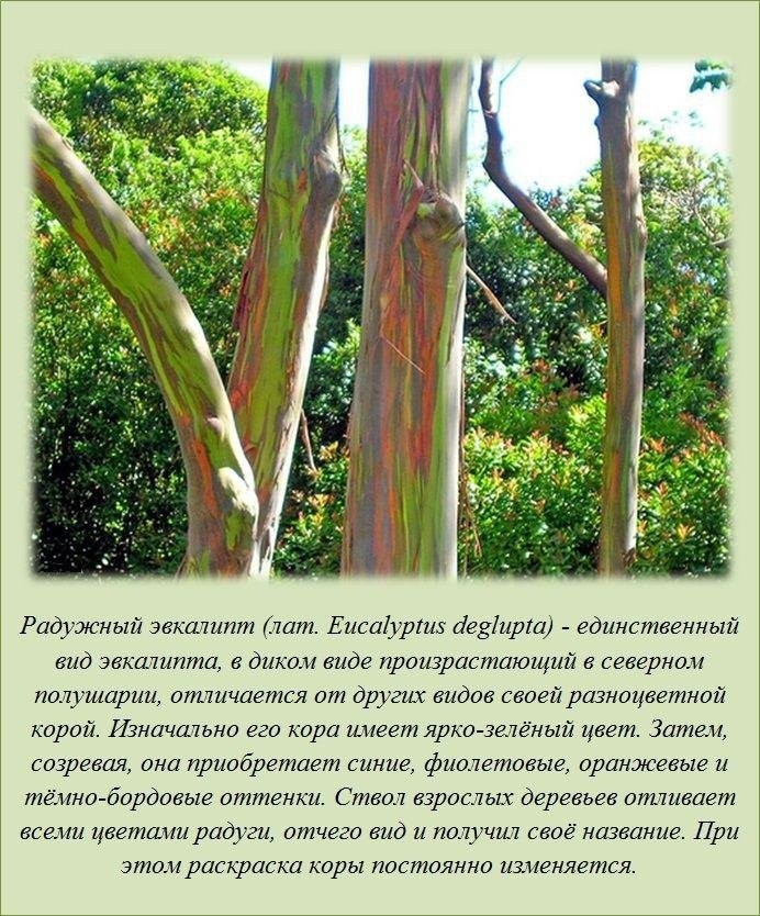 Знали ли вы?-16