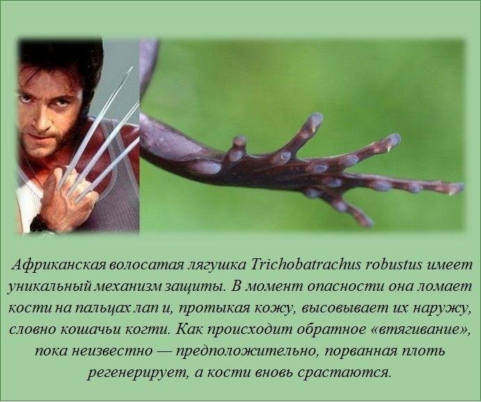 Знали ли вы?-2