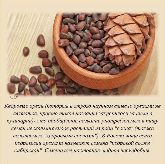 Знали ли вы?-21