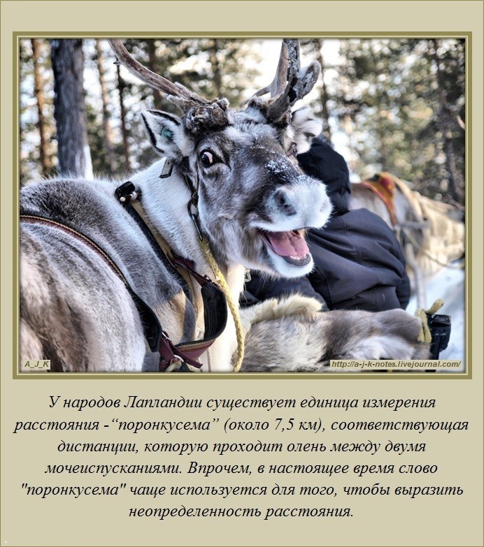 Знали ли вы?-24