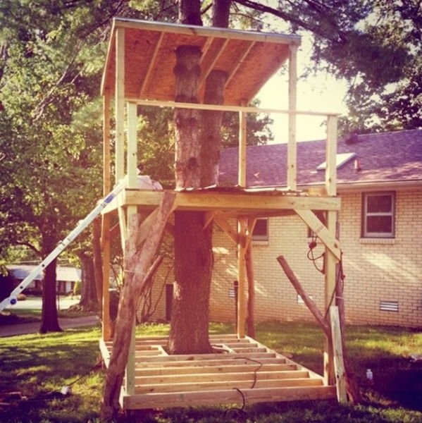 Домик вокруг дерева-9