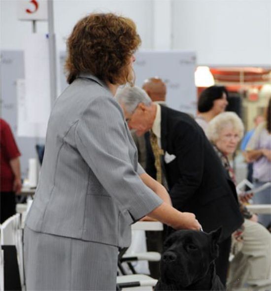 Показалось-2