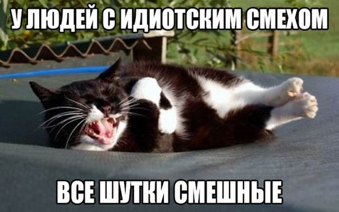 Отборный юмор 9-17