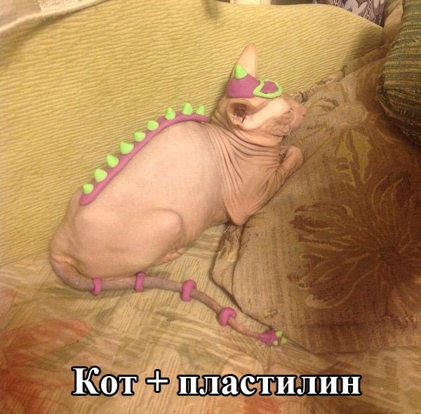 Отборный юмор 9-2