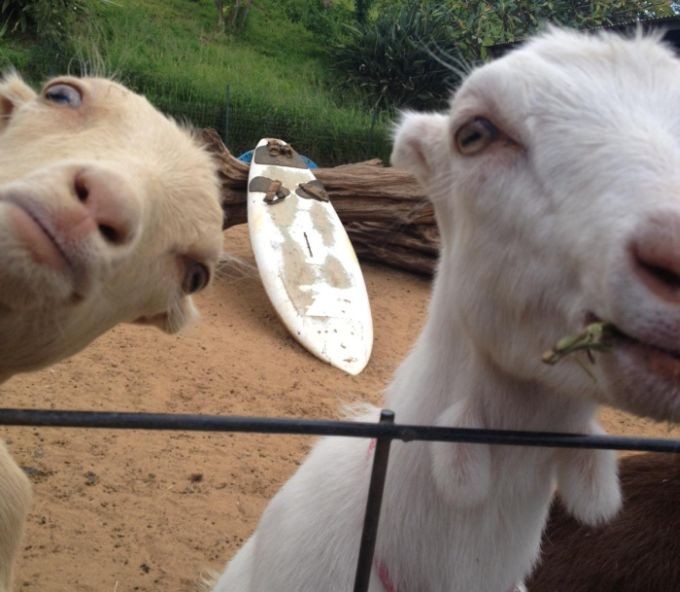 Отборный юмор 9-23