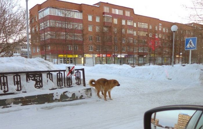 Отборный юмор 9-24