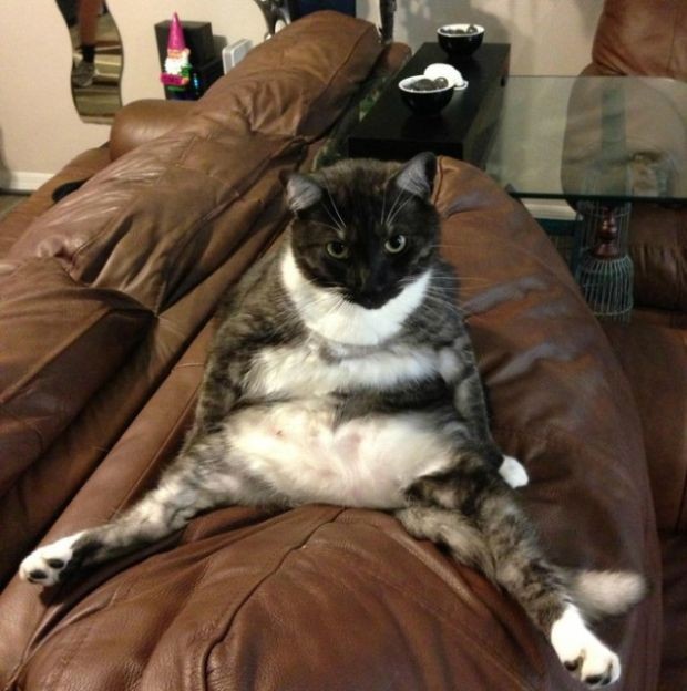 Отборный юмор 9-25