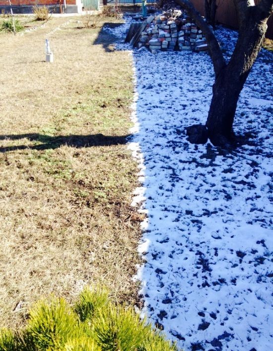 Отборный юмор 9-26