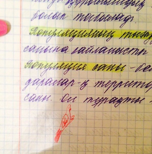 Отборный юмор 9-27