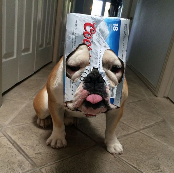 Отборный юмор 9-58