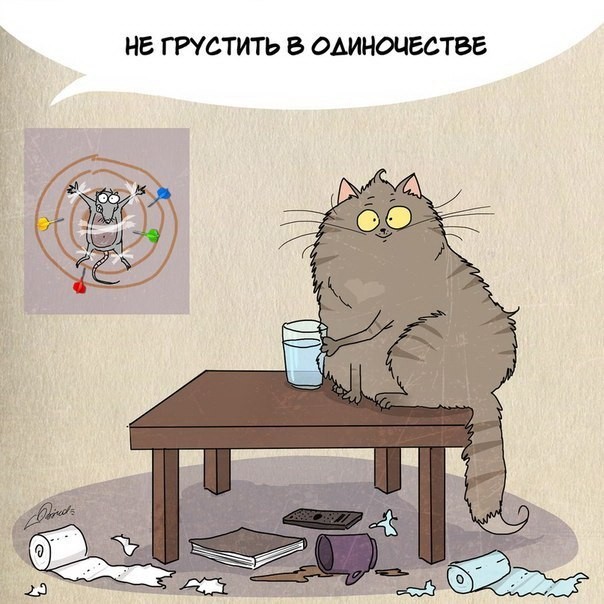 Чему следует поучиться у кошек-1