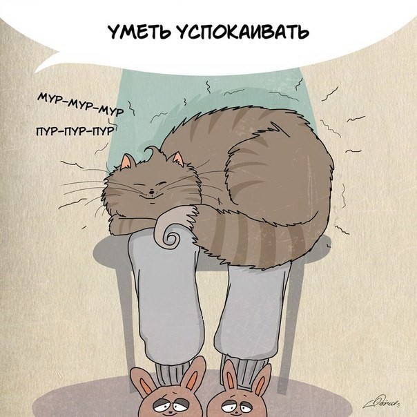 Чему следует поучиться у кошек-10