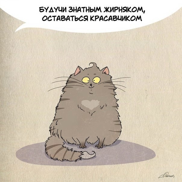 Чему следует поучиться у кошек-2