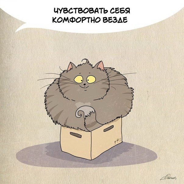 Чему следует поучиться у кошек-3