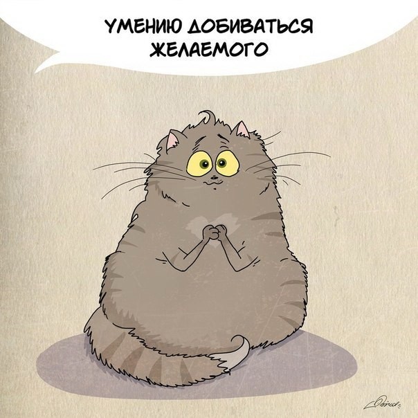 Чему следует поучиться у кошек-8