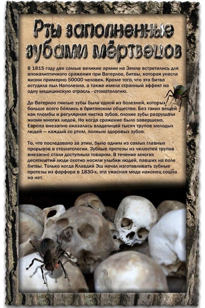 Отвратительные моменты из прошлого-3