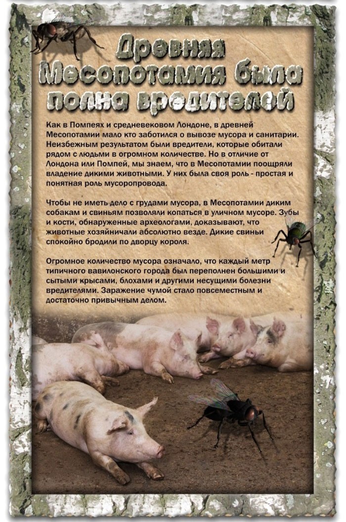 Отвратительные моменты из прошлого-4