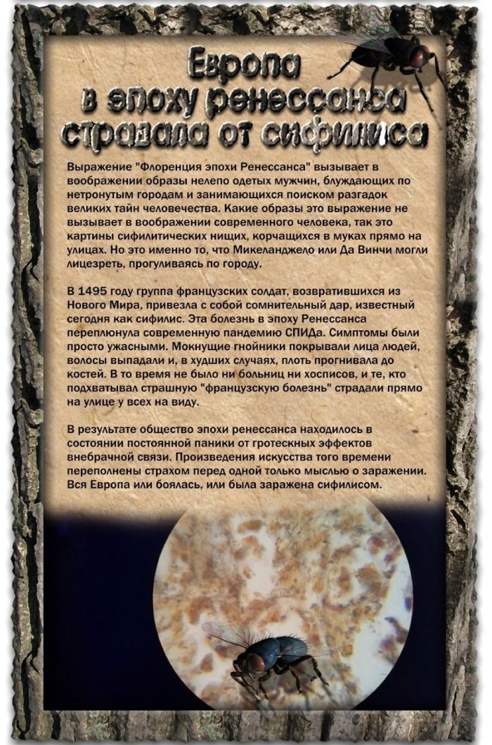 Отвратительные моменты из прошлого-7