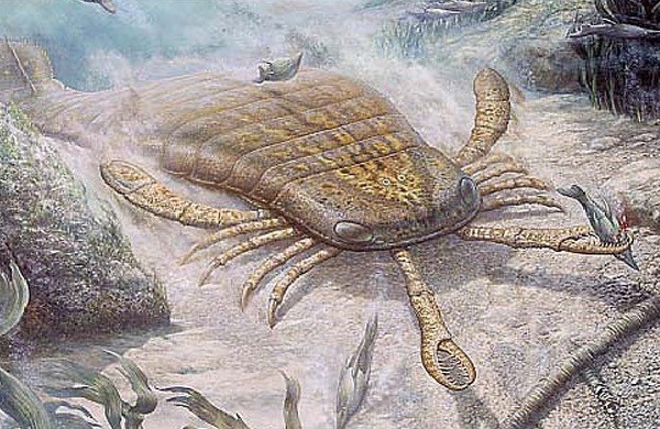 Животные, которые вымерли к счастью-1