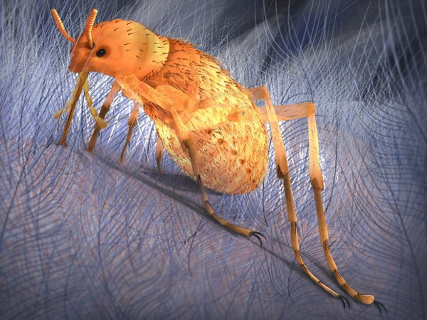 Животные, которые вымерли к счастью-2