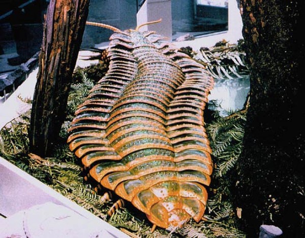 Животные, которые вымерли к счастью-3