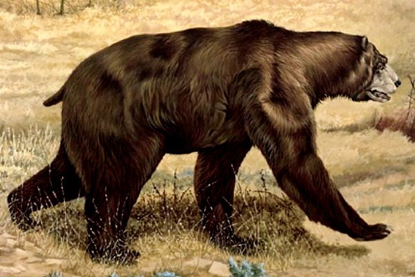 Животные, которые вымерли к счастью-5