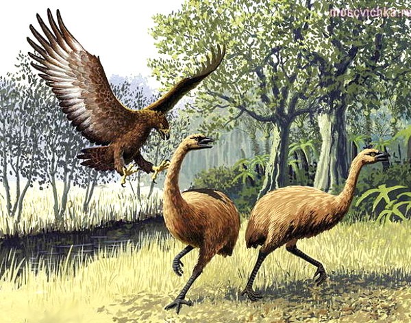 Животные, которые вымерли к счастью-6