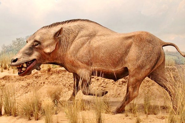 Животные, которые вымерли к счастью-8