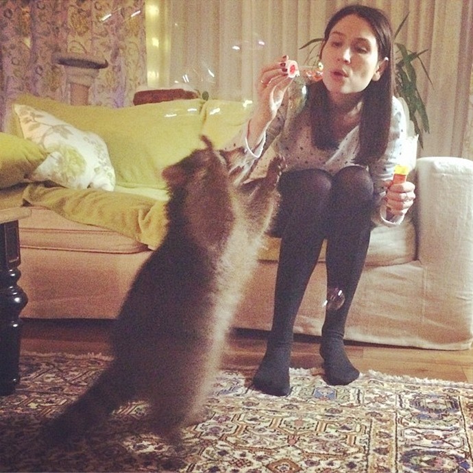 Милый енот Федор-11