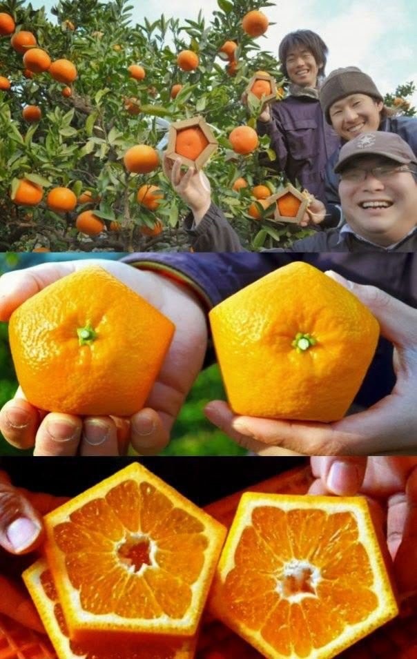 Такое увидишь только в азии-26