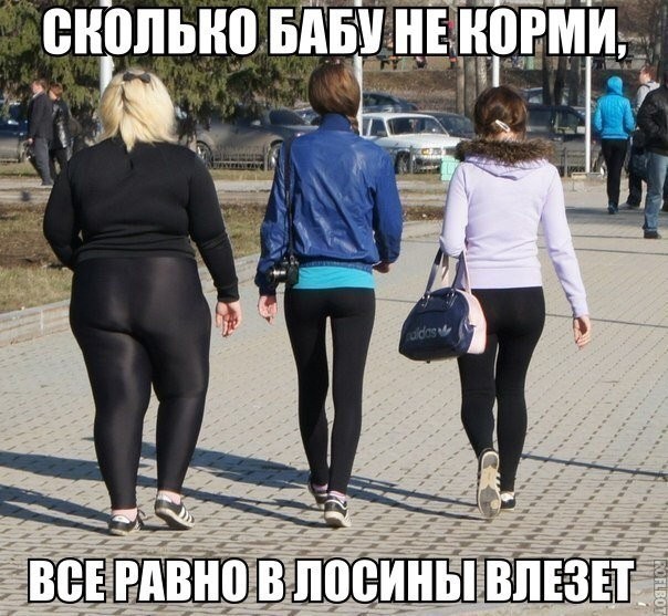 Забавная фотоподборка-13