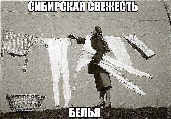 Забавная фотоподборка-16