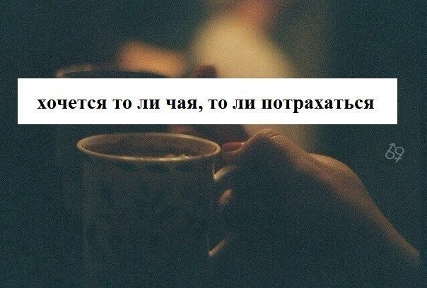 Забавная фотоподборка-23
